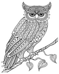 Hand drawn magic Owl sitting on branch for adult anti stress Col