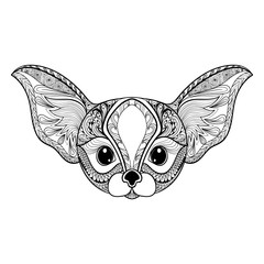 Zentangle stylized desert mini Fox face. Hand Drawn vector illus