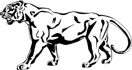 Illustration of a big tiger