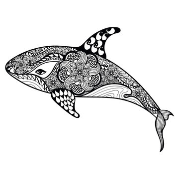 Zentangle stylized Sea Shark. Hand Drawn vector illustration iso
