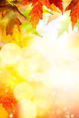 Art abstract autumn background