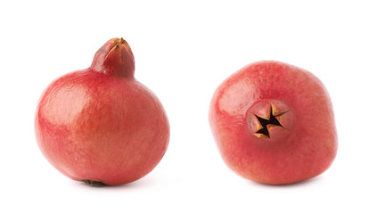 Pomegranate punica granatum fruit