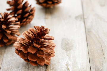 pine cones on the wooden board, (large depth of field, taken with tilt shift lens)