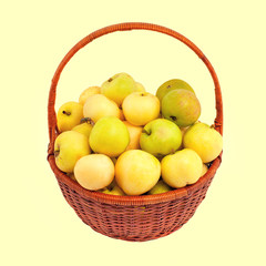 Basket with apples White Filling