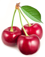 Three ripe red cherries on the white background.