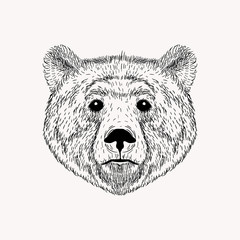 Sketch realistic face Bear. Hand drawn vector  illustration in D
