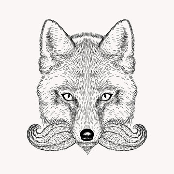 Sketch fox with a beard and moustache. Hand drawn vector  illust