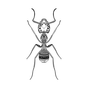 Zentangle stylized Black Ant. Hand Drawn Termite vector illustra