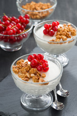 creamy panna cotta with granola and fresh red currants