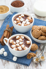 cup of cocoa with marshmallows and almond cookies, vertical