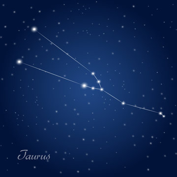 Taurus constellation zodiac sign at starry night sky 