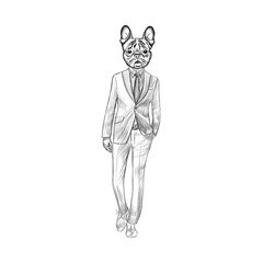 Fototapeta na wymiar Sketch French Bulldog in Suit. Hand drawn face of dog vector ill