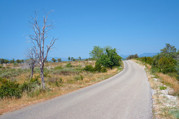 The road to the plateau during the summer in central France.