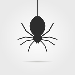 black spider icon with shadow