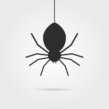 black spider icon with shadow