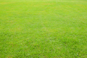 Green Lawn,grass field used for outdoors sports such as soccer.