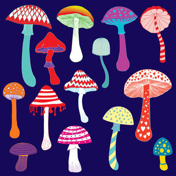 Fantasy abstract colorful mushrooms