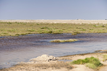 Am Böhler Strand von St. Peter-Ording