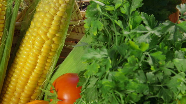 Fresh vegetables in wicker basket at the garden closeup pan shot