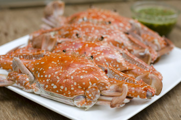 close up  steamed crabs