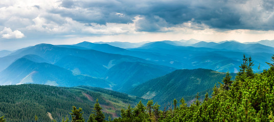 Blue mountains covered with green forest. Panorama view of peaks ridge