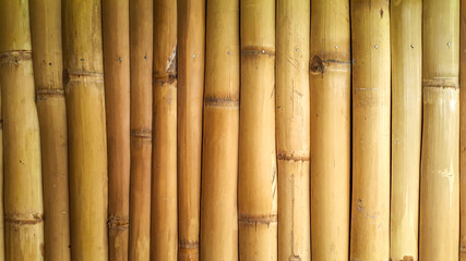 Bamboo fence pattern background