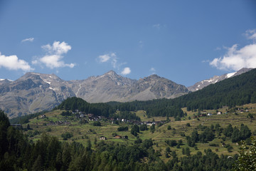 montagne cime bosco verde alpi 