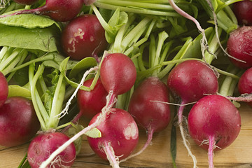 Fresh radishes on a wooden table