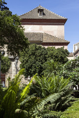 Cathedral in Malaga