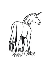 unicorn