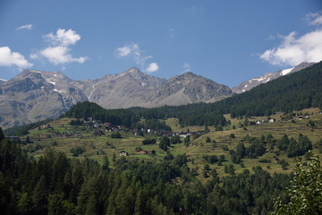 Fototapeta premium montagne cime bosco verde alpi 