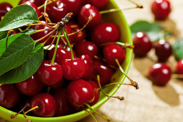 Bowl of fresh cherries