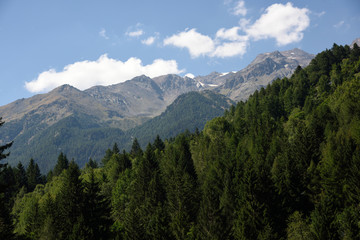 Obraz premium góry szczyty zielony las Alpy