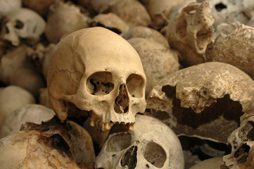 view of group human skulls