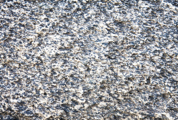 Web grunge texture stone. Black stone texture surface