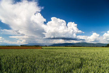 storm over the fields