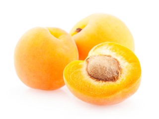 Apricot