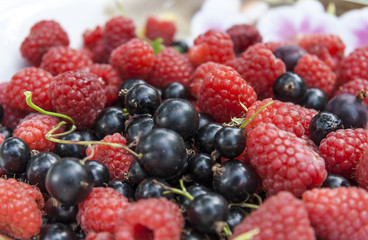 Colorful Mix Of Fresh Berries