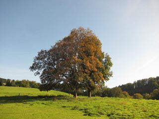 Herbst im Bergischen Land 