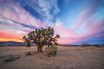 Naklejka premium Sunset at Mojave