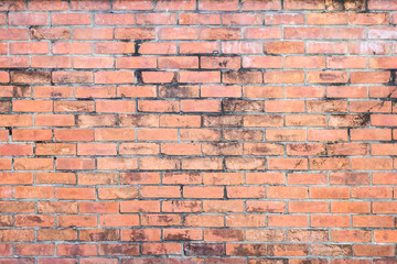 Naklejka premium Brick wall