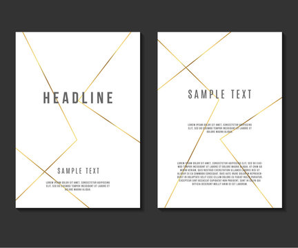 Luxury Minimalism Design Vector Template Layout For Magazine Brochure Flyer Booklet Cover Annual Report