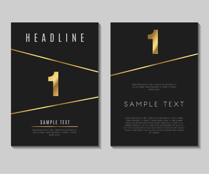 Luxury Minimalism Design Vector Template Layout For Magazine Brochure Flyer Booklet Cover Annual Report