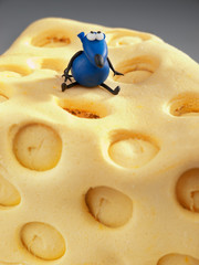 Mouse on cheese fondant cake