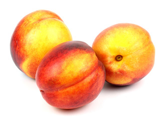 nectarines