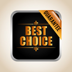 best choice 
