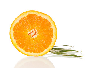 One pink Orchid isolated on white