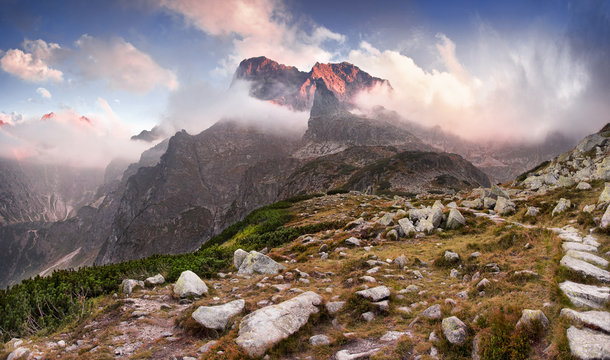 Fog in the Tatras
