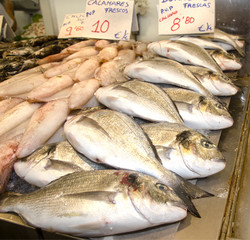 Puesto de pescado en el mercado de Cádiz. España
