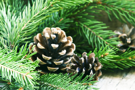 Fir cones and branches, Christmas and New Year's background, sel